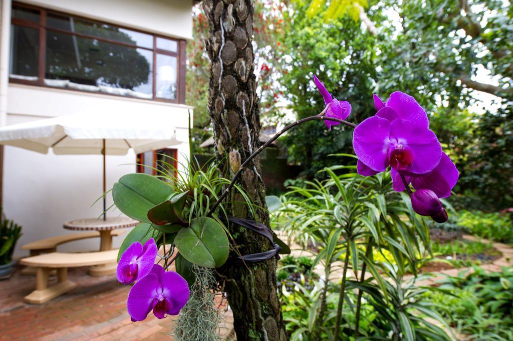 Oliveroom Self Catering And B&B Durban Extérieur photo