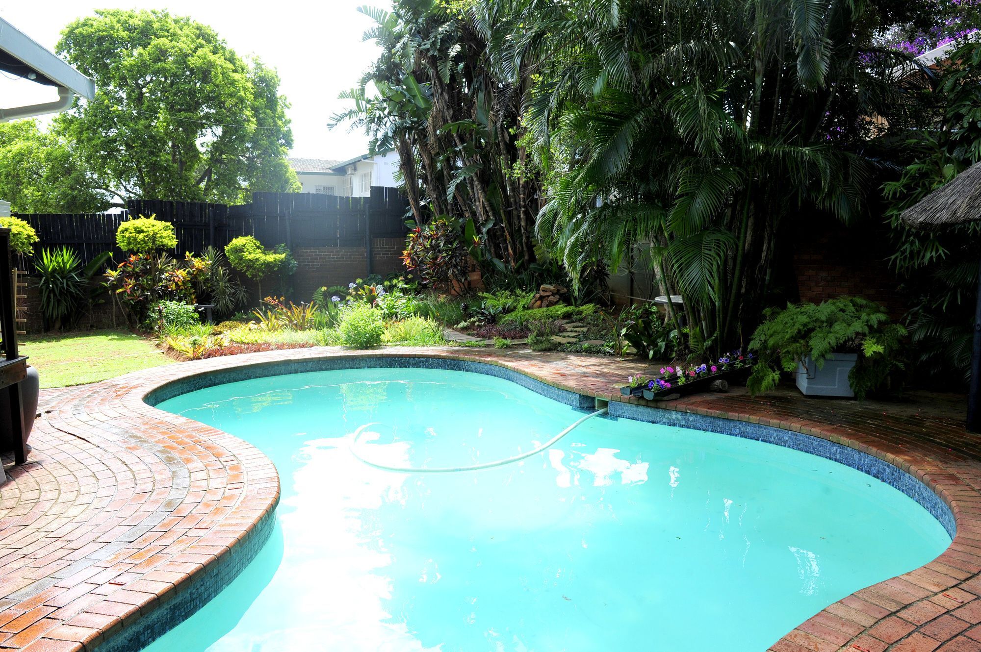 Oliveroom Self Catering And B&B Durban Extérieur photo