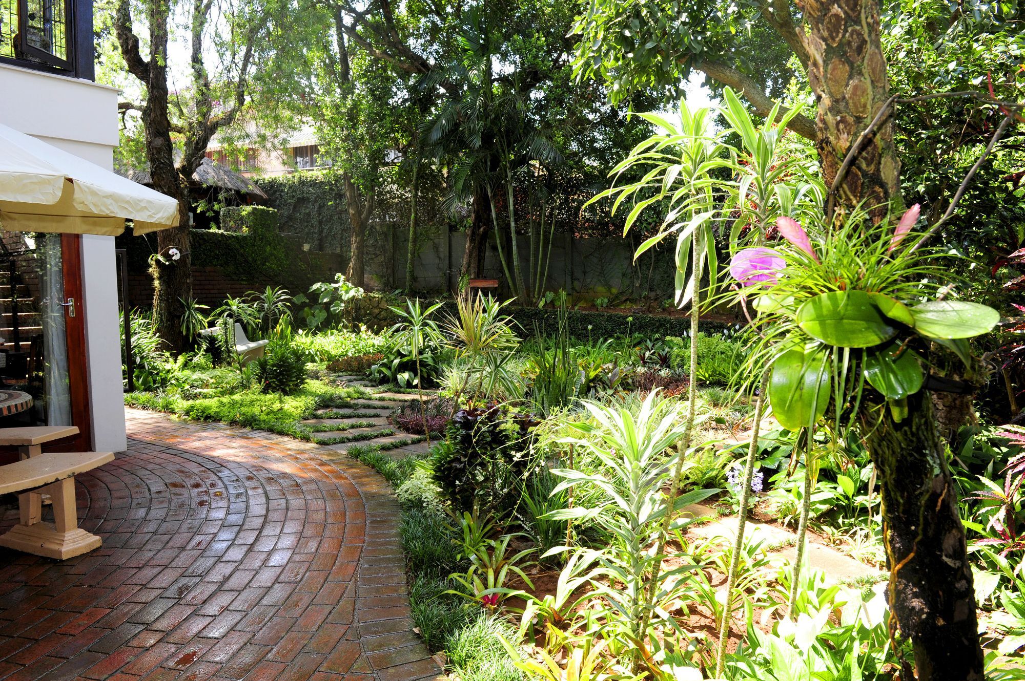 Oliveroom Self Catering And B&B Durban Extérieur photo